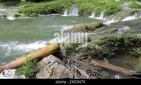 146 Baños del Rio San Juan-San Juan River Baths, serie di piscine naturali di acqua dolce tra piccole cascate, famose per il nuoto. Las Terrazas-Cuba. Foto Stock