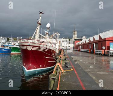 Fiona T117. Pescherecci da traino nel porto di Killybegs, contea di Donegal, Irlanda Foto Stock