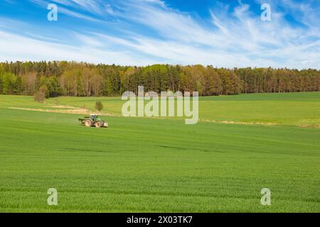 Un trattore attraversa un campo verde in primavera. Foto Stock