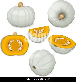 Clip art. Crown Prince Squash. Squash invernale. Cucurbita maxima. Frutta e verdura. Illustrazione vettoriale isolata. Illustrazione Vettoriale