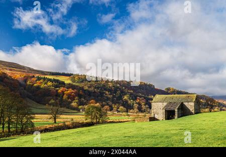 Tradizionale fienile in pietra a Wharfedale, Yorkshire Dales, Inghilterra. Foto Stock