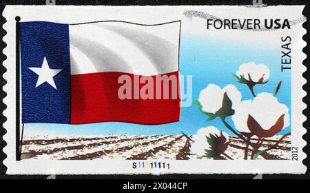 Bandiera dello stato del Texas sul francobollo statunitense Foto Stock