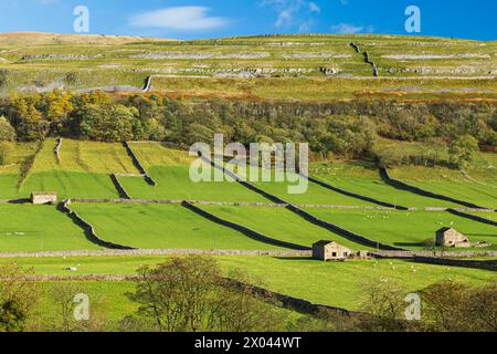 Paesaggio vicino a Kettlewell a Wharfedale, Yorkshire Dales, Inghilterra Foto Stock