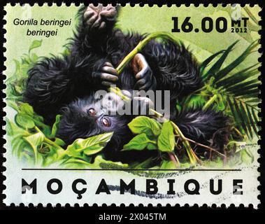 Baby gorilla che gioca sul francobollo Foto Stock