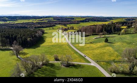 Prati fioriti e foreste sulle colline alpine vicino a Mindelheim in primavera, sullo sfondo della catena montuosa delle Alpi Allgäu, Allgäu Foto Stock