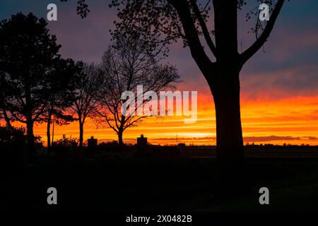 Gli alberi si stagliano contro un cielo nuvoloso durante il tramonto Foto Stock