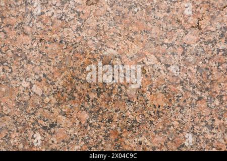 Sfondo di granito filippino rosa e rosso-marrone contenente feldspato di potassio e cristalli plagioclasi Foto Stock