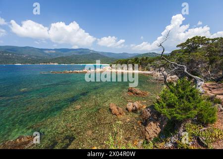 Spiaggia di Cupabia. Paesaggio costiero della Corsica in un giorno d'estate soleggiato, Francia Foto Stock