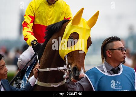 California Spangle e Brenton Avdulla partono prima del G1 al Quoz Sprint 2024, ippodromo di Meydan. Crediti JTW equine Images / Alamy. Foto Stock