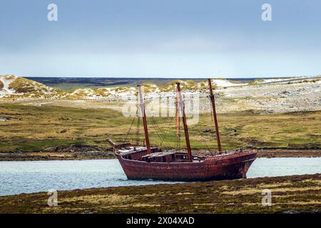 Lady Elizabeth Shipwreck, Stanley, Isole Falkland sabato 2 dicembre 2023. Foto: David Rowland / One-Image.com Foto Stock