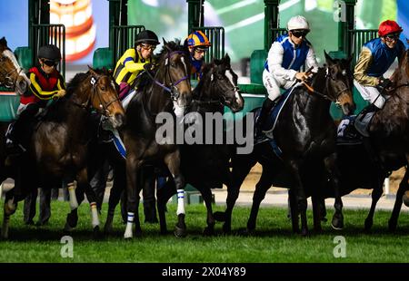 Il campo per il 2024 gruppo 1 Longines Dubai Sheema Classic si rompe dalle porte dell'ippodromo di Meydan, 30/03/24. Crediti JTW equine Images / Alamy. Foto Stock