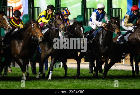 Il campo per il 2024 gruppo 1 Longines Dubai Sheema Classic si rompe dalle porte dell'ippodromo di Meydan, 30/03/24. Crediti JTW equine Images / Alamy. Foto Stock