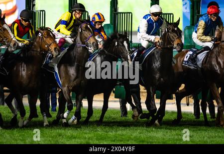 Il campo per il 2024 gruppo 1 Longines Dubai Sheema Classic si rompe dalle porte dell'ippodromo di Meydan, 30/03/24. Crediti JTW equine Images / Alamy. Foto Stock