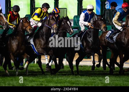 Il campo per il 2024 gruppo 1 Longines Dubai Sheema Classic si rompe dalle porte dell'ippodromo di Meydan, 30/03/24. Crediti JTW equine Images / Alamy. Foto Stock