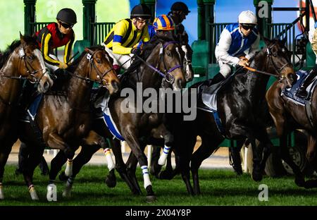 Il campo per il 2024 gruppo 1 Longines Dubai Sheema Classic si rompe dalle porte dell'ippodromo di Meydan, 30/03/24. Crediti JTW equine Images / Alamy. Foto Stock