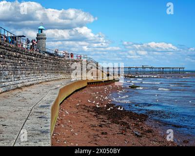 UK, South Devon, Teignmouth, sprat Sand e Lighthouse che guardano verso il molo. Foto Stock