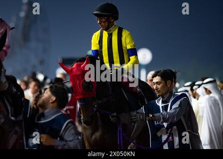 Stars on Earth e Frankie Dettori partono per il 2024 Group 1 Longines Dubai Sheema Classic, 30/03/24. Crediti JTW equine Images / Alamy. Foto Stock