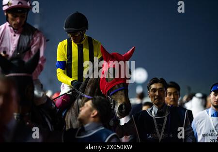 Stars on Earth e Frankie Dettori partono per il 2024 Group 1 Longines Dubai Sheema Classic, 30/03/24. Crediti JTW equine Images / Alamy. Foto Stock