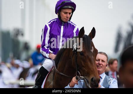 La Torre di Londra e Ryan Moore vincono il rinnovo 2024 della G2 Dubai Gold Cup per l'allenatore Aidan o'Brien, 30/03/24. Crediti JTW equine Images / Alamy. Foto Stock