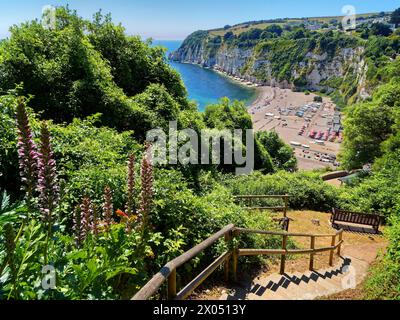 UK, Devon, South West Coast Path vista su Beer Beach verso Beer Head. Foto Stock
