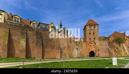 Stadtmauer mit Elbtor und dem Kirchturm der evangelischen Kirche St Stephan Tangermünde Sachsen-Anhalt Deutschland *** mura cittadine con porta dell'Elba e il campanile della chiesa protestante di Santo Stefano Tangermünde Sassonia Anhalt Germania Foto Stock