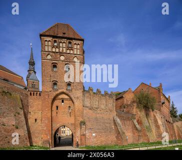 Stadtmauer mit Elbtor und dem Kirchturm der evangelischen Kirche St Stephan Tangermünde Sachsen-Anhalt Deutschland *** mura cittadine con porta dell'Elba e il campanile della chiesa protestante di Santo Stefano Tangermünde Sassonia Anhalt Germania Foto Stock