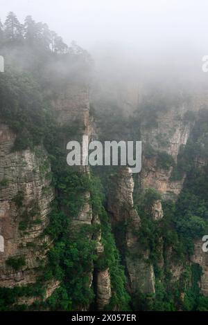 Colonne di arenaria sorgono sopra la lussureggiante foresta del Parco Nazionale della Foresta di Zhangjiajie nell'area panoramica di Wulingyuan, Cina. Foto Stock