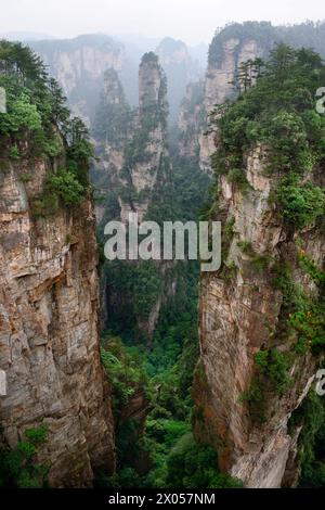 Colonne di arenaria sorgono sopra la lussureggiante foresta del Parco Nazionale della Foresta di Zhangjiajie nell'area panoramica di Wulingyuan, Cina. Foto Stock