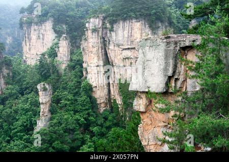 Colonne di arenaria sorgono sopra la lussureggiante foresta del Parco Nazionale della Foresta di Zhangjiajie nell'area panoramica di Wulingyuan, Cina. Foto Stock