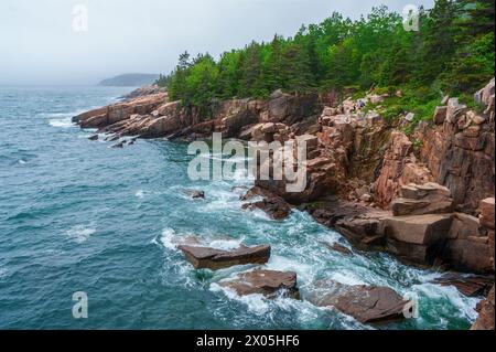 Costa frastagliata e onde che si infrangono a Monument Cove, Acadia National Park, Mt. Desert Island, Maine, Stati Uniti. I turisti apprezzano la vista sull'oceano. Foto Stock