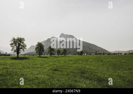 Saharastaub rund um den Untersberg im Frühling in Grödig AM 09.04.2024. // la polvere del Sahara intorno all'Untersberg in primavera a Grödig il 9 aprile 2024. - 20240409 PD3891 credito: APA-PictureDesk/Alamy Live News Foto Stock