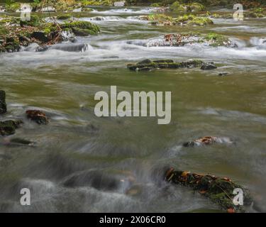 Fiume Barle che scorre sui massi di Shircombe Slade nell'Exmoor National Park, Somerset, Inghilterra, Regno Unito. Foto Stock