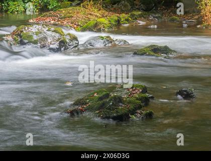 Fiume Barle che scorre sui massi di Shircombe Slade nell'Exmoor National Park, Somerset, Inghilterra, Regno Unito. Foto Stock