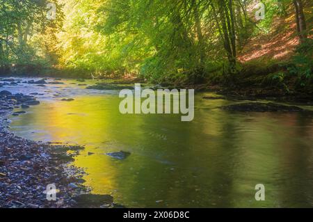 Fiume Barle che scorre sui massi di Shircombe Slade nell'Exmoor National Park, Somerset, Inghilterra, Regno Unito. Foto Stock