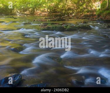 Fiume Barle che scorre sui massi di Shircombe Slade nell'Exmoor National Park, Somerset, Inghilterra, Regno Unito. Foto Stock