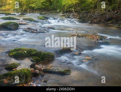 Fiume Barle che scorre sui massi di Shircombe Slade nell'Exmoor National Park, Somerset, Inghilterra, Regno Unito. Foto Stock