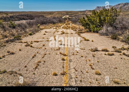 Sezione abbandonata dell'autostrada US-180, US-62 con overgrowth, Guadalupe Mountains in lontananza, Texas, USA Foto Stock