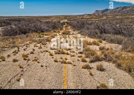 Sezione abbandonata dell'autostrada US-180, US-62 con overgrowth, Guadalupe Mountains in lontananza, Texas, USA Foto Stock