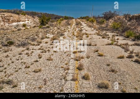 Sezione abbandonata dell'autostrada US-180, US-62 con crescita eccessiva, vicino ai Monti Guadalupe, Texas, Stati Uniti Foto Stock