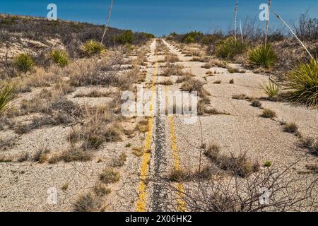 Sezione abbandonata dell'autostrada US-180, US-62 con crescita eccessiva, vicino ai Monti Guadalupe, Texas, Stati Uniti Foto Stock