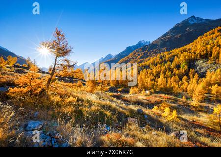 Valle Loetschental in autunno, Svizzera, Vallese, Fafleralp Foto Stock