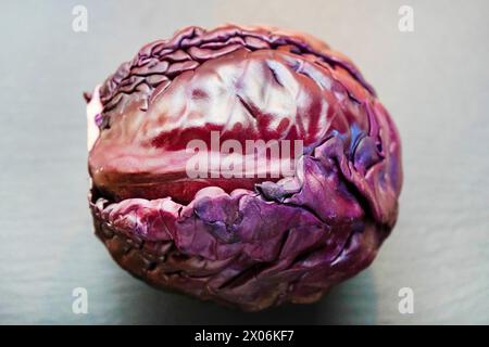 Cavolo rosso, cavolo viola, kraut rosso, kraut blu (Brassica oleracea var. capitata f. rubra), testa di cavolo rosso Foto Stock