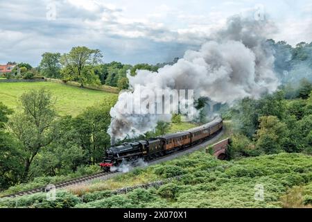 5234 Eric Tracy si avvicina alla stazione di Goathland sulla North York Moors Railway Foto Stock