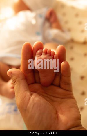 I piedi del neonato rispetto alle mani di un adulto. bel piede appena nato nella mano di padre Foto Stock