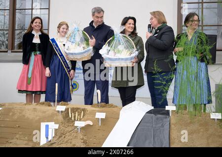 V. l. Katharina Frank Kommunalreferentin der Landeshauptstadt München, Nathalie I. Bayerische Spargelkönigin, Dr. Markus Söder Bayerischer Ministerpräsident und Michaela Kaniber Bayerische Landwirtschaftsministerin, Claudia Westner 1. Vorsitzende des Spargelerzeugerverbandes Südbayern e.V. - Spargelsaisoneröffnung 2024 vor dem Wirtshaus Der Pschorr auf dem Münchner Viktualienmarkt, München 10.04.2024 *** da l Katharina Frank funzionario municipale della città di Monaco, Nathalie i Bavarian Asparagus Queen, Dr. Markus Söder primo ministro bavarese e Michaela Kaniber ministro bavarese di Agricult Foto Stock