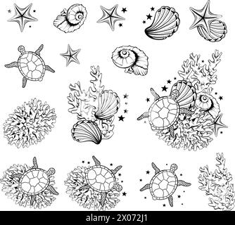 Disegno di contorni in bianco e nero Seashells tartarughe Sea Stars illustrazioni marine estive Vector Line Art Illustrazione Vettoriale