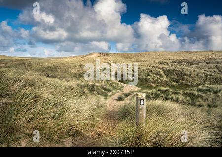 Un cartello in legno con il simbolo della ghianda che indica un sentiero nazionale su una foopath nell'enorme sistema di dune di sabbia di Holywell Beach a Newquay in Cornwa Foto Stock