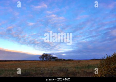 Idilliaco paesaggio islandese di un prato con un piccolo cottage. immagine tipica di un paesaggio da dipingere. Foto Stock