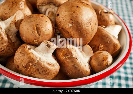 Una ciotola di funghi bella crudi, Agaricus bisporus, detti anche crimini, italiani, portabello, o portabella. Foto Stock