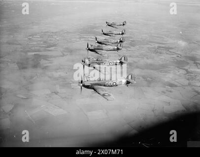 HURRICANE (HAWKER) MARK IIC - motore Rolls-Royce XX da 1460 cv. N. 3 Squadron RAF Foto Stock